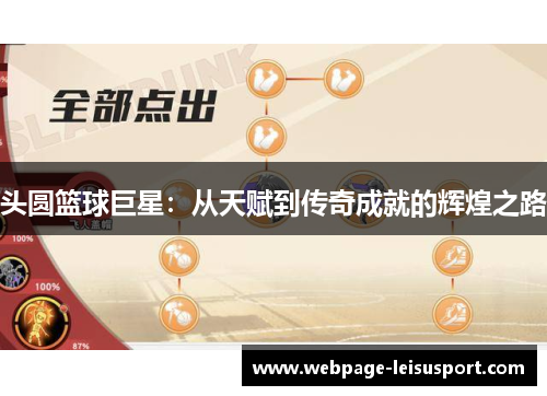 头圆篮球巨星：从天赋到传奇成就的辉煌之路