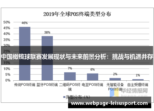 中国橄榄球联赛发展现状与未来前景分析:挑战与机遇并存