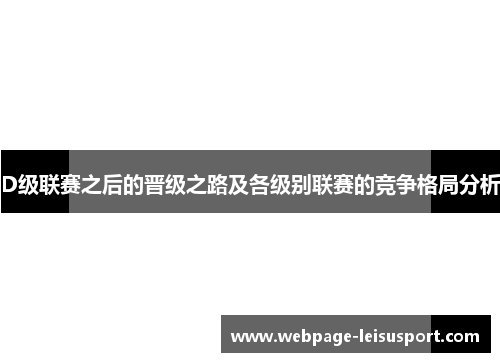 D级联赛之后的晋级之路及各级别联赛的竞争格局分析