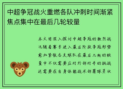 中超争冠战火重燃各队冲刺时间渐紧焦点集中在最后几轮较量