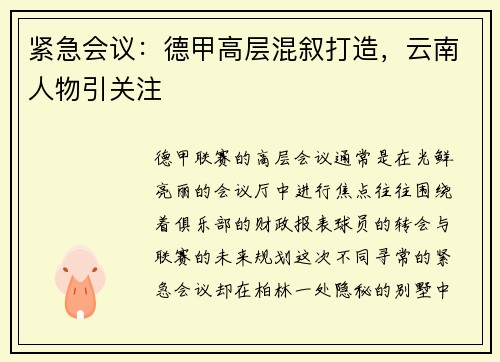 紧急会议：德甲高层混叙打造，云南人物引关注